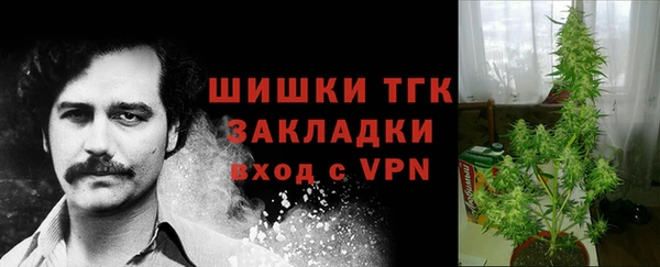 прущие крисы Аркадак