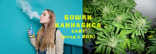 прущие крисы Аркадак